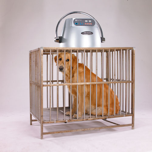 Digital Pet Dryer Instrument, Pet Dryer Machine