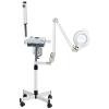 Facial Steamer+High Frequency+Magnifying Lamp Beauty Equipment