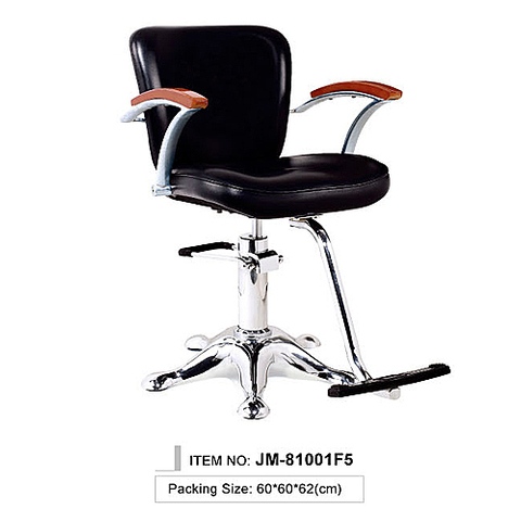 Professional Hair Salon Styling Chair, Hair Salon Chair, Salon Stylish Hydraulic Chair