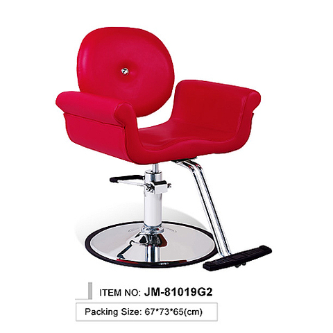 Professional Hair Salon Styling Chair, Hair Salon Chair, Salon Stylish Hydraulic Chair